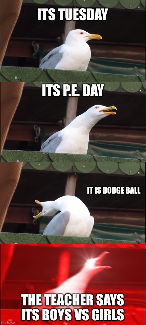 Inhaling Seagull Meme | ITS TUESDAY; ITS P.E. DAY; IT IS DODGE BALL; THE TEACHER SAYS ITS BOYS VS GIRLS | image tagged in memes,inhaling seagull | made w/ Imgflip meme maker