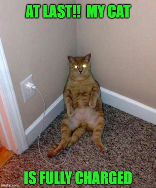 Meanwhile... a coupla lives later | AT LAST!!  MY CAT | image tagged in vince vance,charging,cats,i love cats,funny cat memes,meow | made w/ Imgflip meme maker