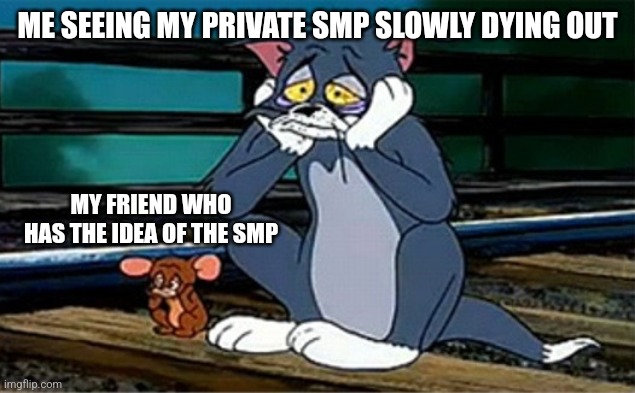 Sad Railroad Tom And Jerry | ME SEEING MY PRIVATE SMP SLOWLY DYING OUT MY FRIEND WHO HAS THE IDEA OF THE SMP | image tagged in sad railroad tom and jerry | made w/ Imgflip meme maker