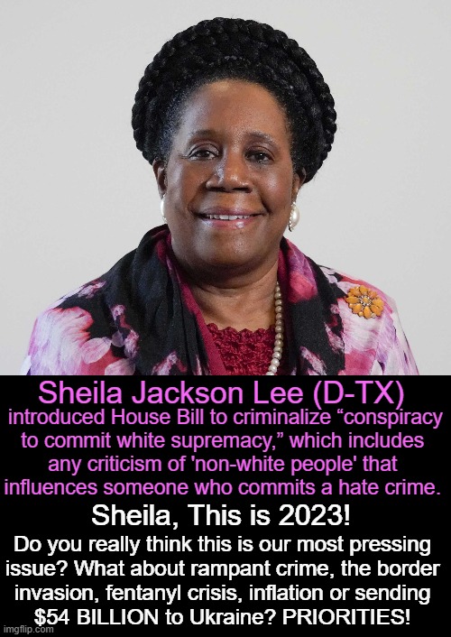 Past Time to Get Your Wig on Straight! | Sheila Jackson Lee (D-TX); introduced House Bill to criminalize “conspiracy

to commit white supremacy,” which includes 

any criticism of 'non-white people' that 

influences someone who commits a hate crime. Sheila, This is 2023! Do you really think this is our most pressing 
issue? What about rampant crime, the border 
invasion, fentanyl crisis, inflation or sending 
$54 BILLION to Ukraine? PRIORITIES! | image tagged in politics,priorities,critical issues,america,survival,white supremacy | made w/ Imgflip meme maker
