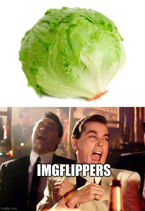 IMGFLIPPERS | image tagged in lettuce,memes,good fellas hilarious | made w/ Imgflip meme maker
