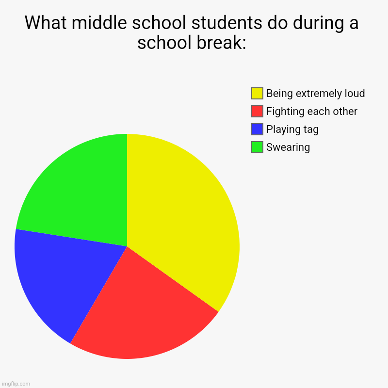 Middle school students during breaks | What middle school students do during a school break: | Swearing, Playing tag, Fighting each other, Being extremely loud | image tagged in charts,pie charts | made w/ Imgflip chart maker
