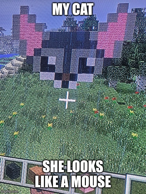 I made my cat what do you think | MY CAT; SHE LOOKS LIKE A MOUSE | image tagged in minecraft cat,mouse,cat | made w/ Imgflip meme maker
