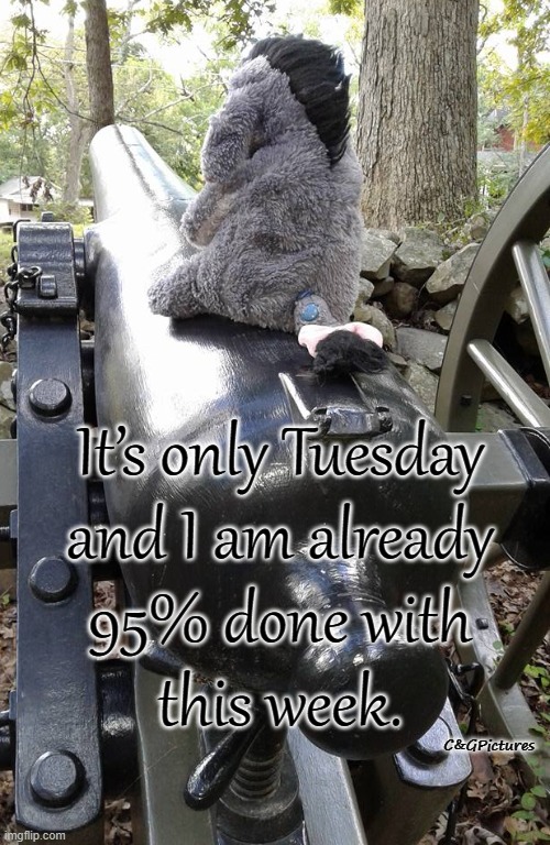 It’s only Tuesday
and I am already
95% done with
this week. C&GPictures | made w/ Imgflip meme maker