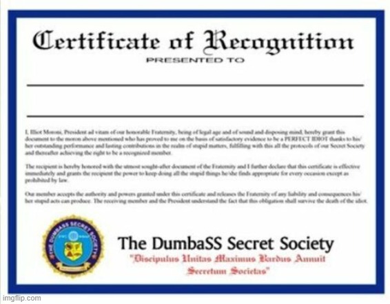 Dumbass Certificate | image tagged in dumbass certificate | made w/ Imgflip meme maker