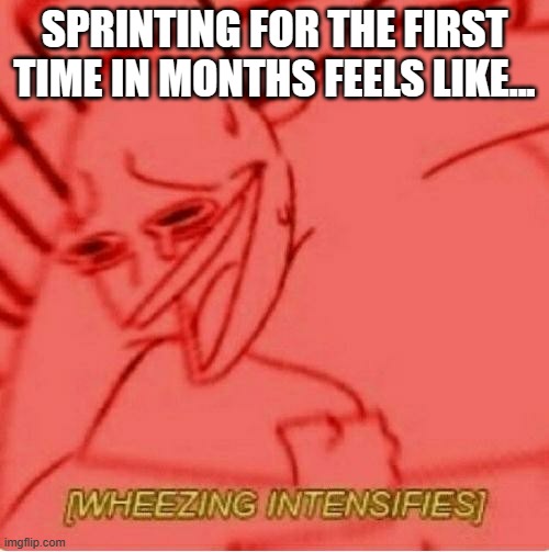 I'm sorry your lungs are temporally out of order. | SPRINTING FOR THE FIRST TIME IN MONTHS FEELS LIKE... | image tagged in wheeze,exercise,sprint | made w/ Imgflip meme maker