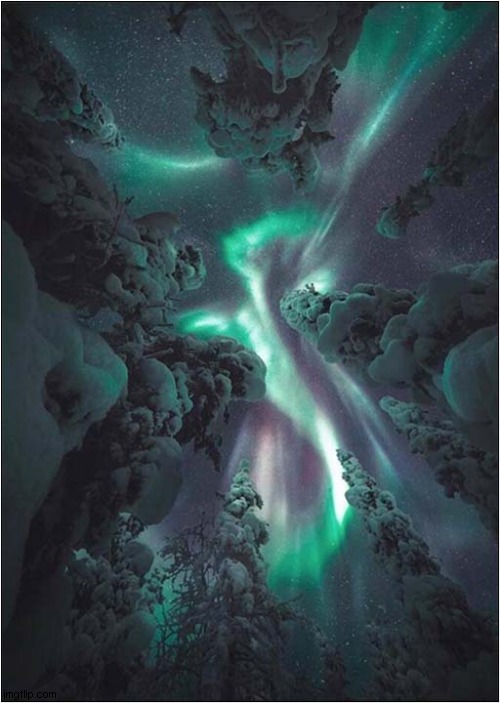 Polar Lights | image tagged in polar,lights,aurora borealis | made w/ Imgflip meme maker