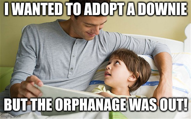 Adoption | I WANTED TO ADOPT A DOWNIE BUT THE ORPHANAGE WAS OUT! | image tagged in adoption | made w/ Imgflip meme maker