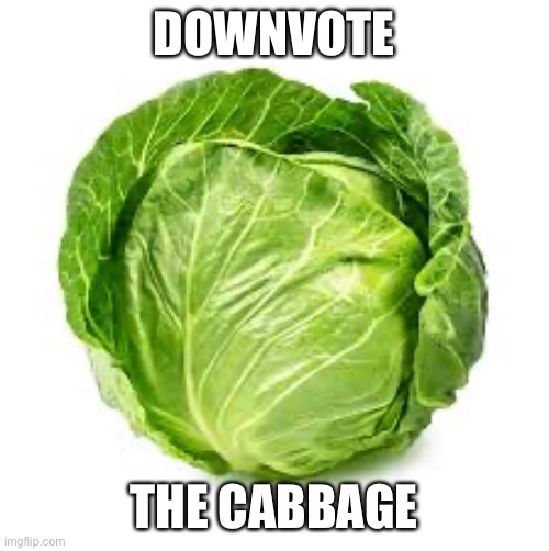 It say DOWNvote not UPvote I don’t want any UPvotes even though DOWNvotes don’t give points | DOWNVOTE; THE CABBAGE | image tagged in downvote,useless | made w/ Imgflip meme maker