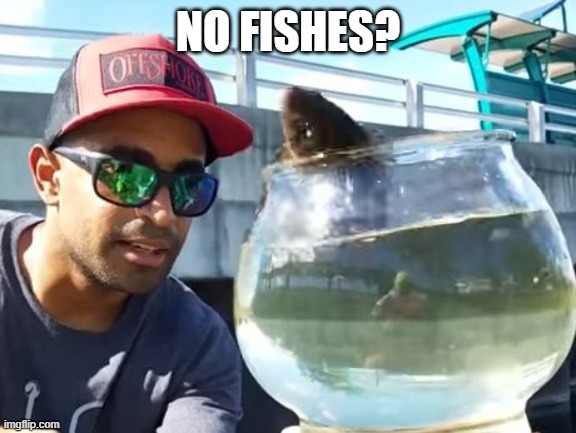 No Fish Here | NO FISHES? | image tagged in no fish here | made w/ Imgflip meme maker