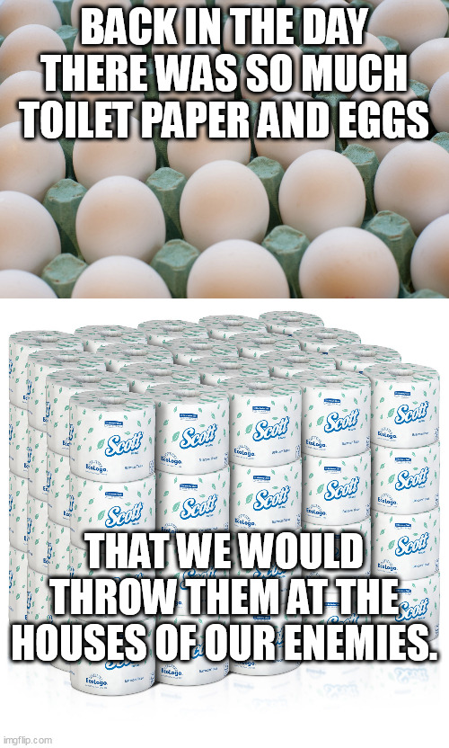 Believe it or not!!! | BACK IN THE DAY THERE WAS SO MUCH TOILET PAPER AND EGGS; THAT WE WOULD THROW THEM AT THE HOUSES OF OUR ENEMIES. | image tagged in eggs,toilet paper,joe biden,memes,funny memes,inflation | made w/ Imgflip meme maker