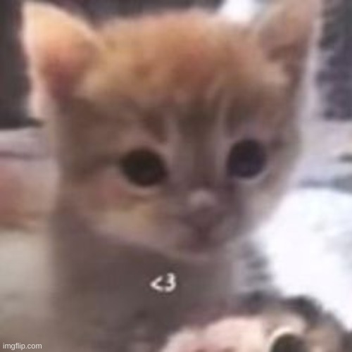 he loves watching his favorite show, breaking bad | made w/ Imgflip meme maker