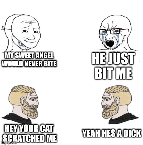 Chad we know | MY SWEET ANGEL WOULD NEVER BITE; HE JUST BIT ME; YEAH HES A DICK; HEY YOUR CAT  SCRATCHED ME | image tagged in chad we know | made w/ Imgflip meme maker