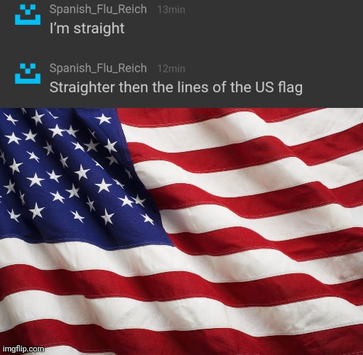 image tagged in us flag | made w/ Imgflip meme maker