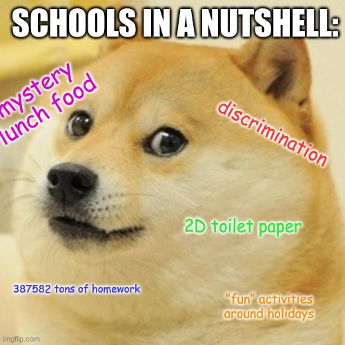 Doge | SCHOOLS IN A NUTSHELL:; mystery lunch food; discrimination; 2D toilet paper; 387582 tons of homework; "fun" activities around holidays | image tagged in memes,doge,facts,funny,fun,school | made w/ Imgflip meme maker