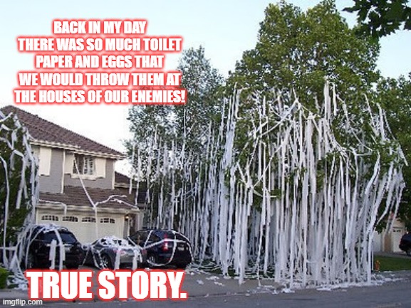 Back In The Day | BACK IN MY DAY THERE WAS SO MUCH TOILET PAPER AND EGGS THAT WE WOULD THROW THEM AT THE HOUSES OF OUR ENEMIES! TRUE STORY. | image tagged in toilet paper,eggs,back in my day | made w/ Imgflip meme maker