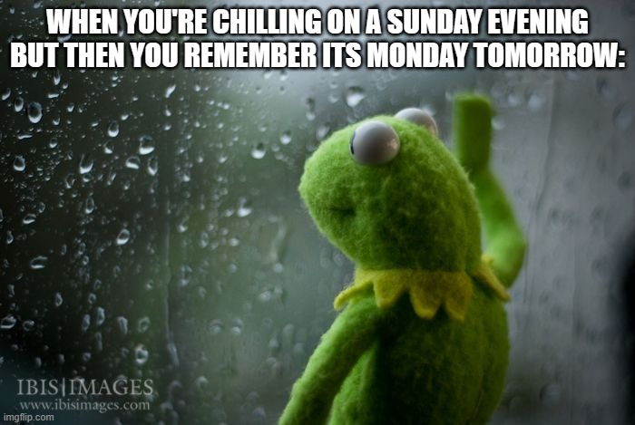 kermit window | WHEN YOU'RE CHILLING ON A SUNDAY EVENING BUT THEN YOU REMEMBER ITS MONDAY TOMORROW: | image tagged in kermit window | made w/ Imgflip meme maker