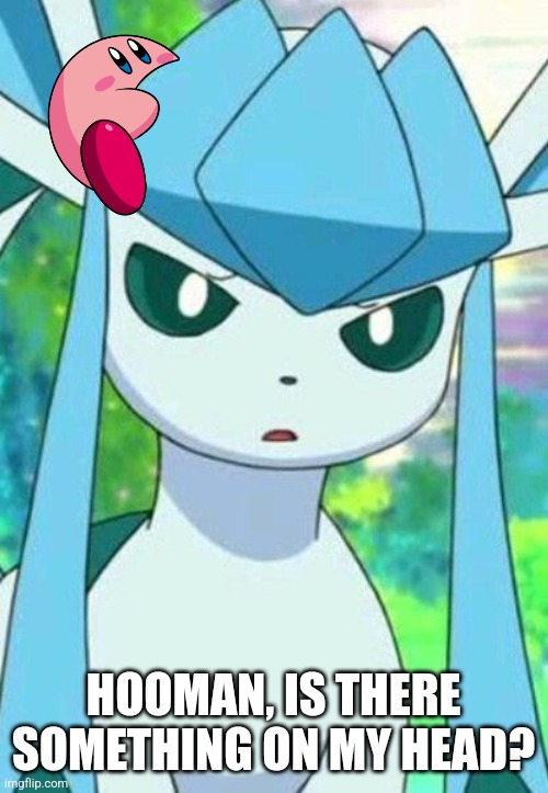 Glaceon confused | HOOMAN, IS THERE SOMETHING ON MY HEAD? | image tagged in glaceon confused,glaceon | made w/ Imgflip meme maker