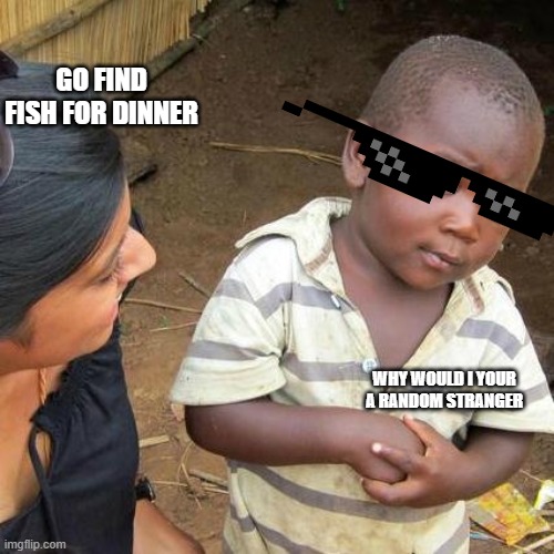 Why Would i? | GO FIND FISH FOR DINNER; WHY WOULD I YOUR A RANDOM STRANGER | image tagged in memes,third world skeptical kid | made w/ Imgflip meme maker