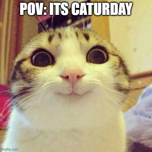Smiling Cat |  POV: ITS CATURDAY | image tagged in memes,smiling cat | made w/ Imgflip meme maker