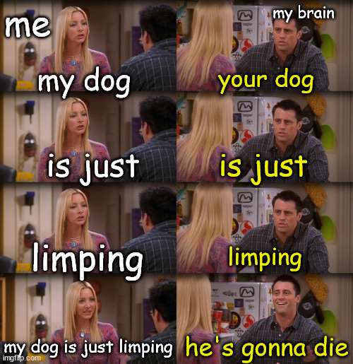 my dog is just limping | my brain; me; my dog; your dog; is just; is just; limping; limping; my dog is just limping; he's gonna die | image tagged in joey repeat after me | made w/ Imgflip meme maker