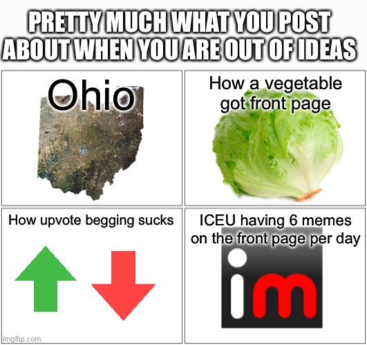 It’s true tho | PRETTY MUCH WHAT YOU POST ABOUT WHEN YOU ARE OUT OF IDEAS; Ohio; How a vegetable got front page; How upvote begging sucks; ICEU having 6 memes on the front page per day | image tagged in memes,vegetable,upvote begging,iceu,ohio | made w/ Imgflip meme maker