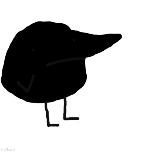 YANG ARE YOU /SRS OR /J | image tagged in yang are you /srs or /j | made w/ Imgflip meme maker