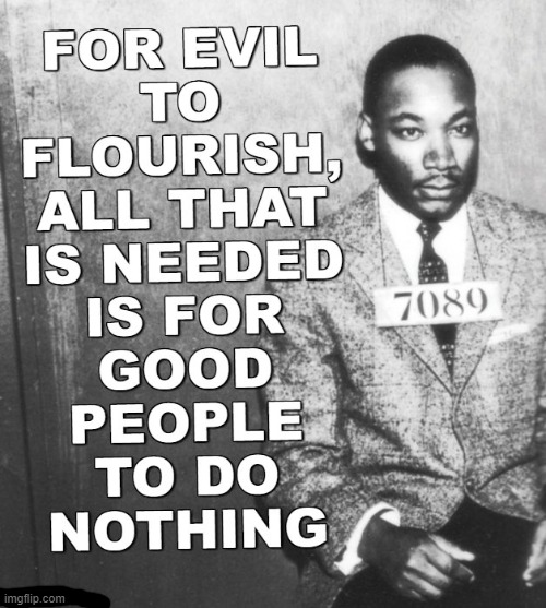 image tagged in mlk jr | made w/ Imgflip meme maker
