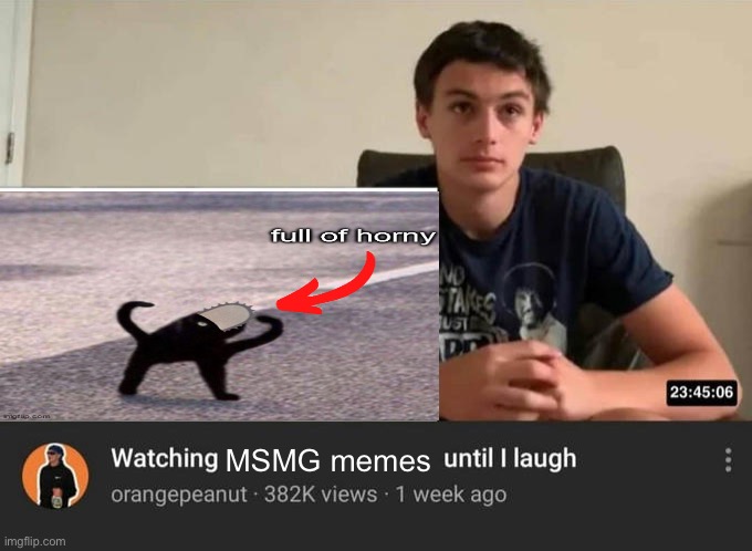 watching until i laugh | MSMG memes | image tagged in watching until i laugh,memes | made w/ Imgflip meme maker