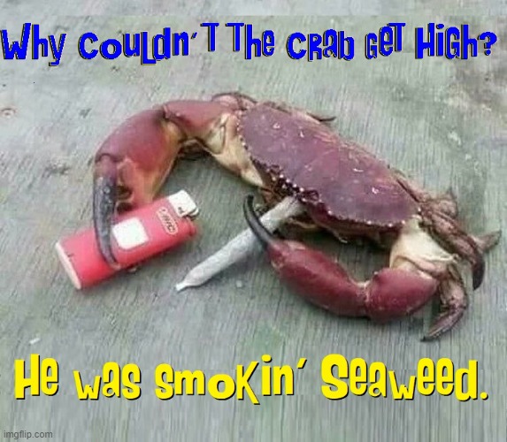 Seaweed is Awful Hard to Light... | image tagged in vince vance,crabs,smoking weed,getting high,seaweed,memes | made w/ Imgflip meme maker