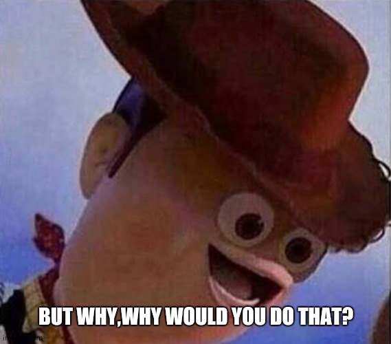 Derp Woody | BUT WHY,WHY WOULD YOU DO THAT? | image tagged in derp woody | made w/ Imgflip meme maker