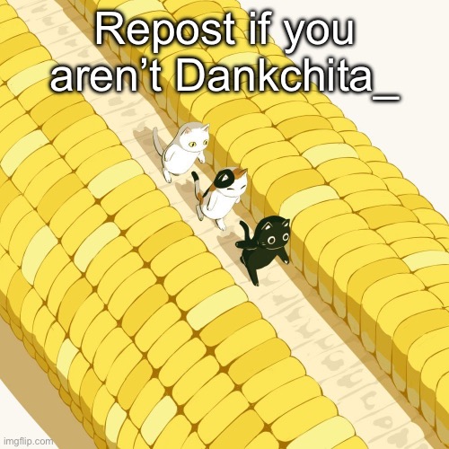 Avogado6 | Repost if you aren’t Dankchita_ | image tagged in avogado6 | made w/ Imgflip meme maker