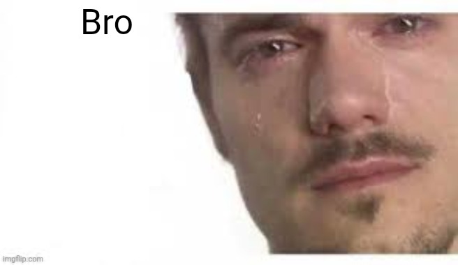 Bro Please Bro | Bro | image tagged in bro please bro | made w/ Imgflip meme maker