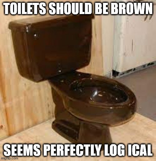 brown toilet | TOILETS SHOULD BE BROWN; SEEMS PERFECTLY LOG ICAL | image tagged in toilet | made w/ Imgflip meme maker