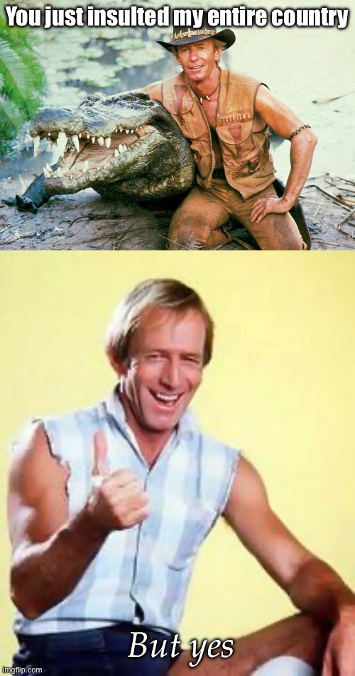 You just insulted my entire country; But yes | image tagged in crocodile dundee paul hogan,paul hogan | made w/ Imgflip meme maker