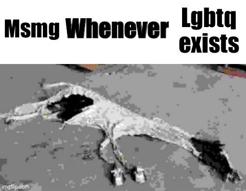 Msmg; Lgbtq exists | image tagged in whenever i | made w/ Imgflip meme maker