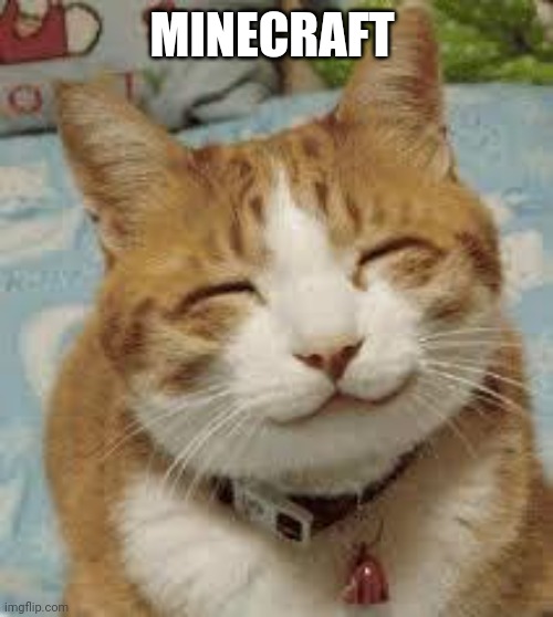 Happy cat | MINECRAFT | image tagged in happy cat | made w/ Imgflip meme maker
