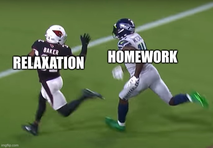 DK Metcalf chases Budda Baker | HOMEWORK; RELAXATION | image tagged in dk metcalf chases budda baker | made w/ Imgflip meme maker