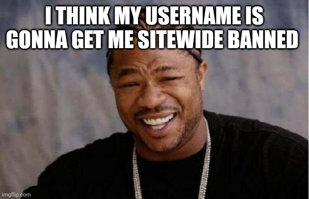 Yo Dawg Heard You | I THINK MY USERNAME IS GONNA GET ME SITEWIDE BANNED | image tagged in memes,yo dawg heard you | made w/ Imgflip meme maker