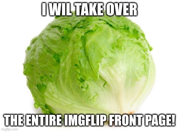 Lettuce  | I WIL TAKE OVER THE ENTIRE IMGFLIP FRONT PAGE! | image tagged in lettuce | made w/ Imgflip meme maker