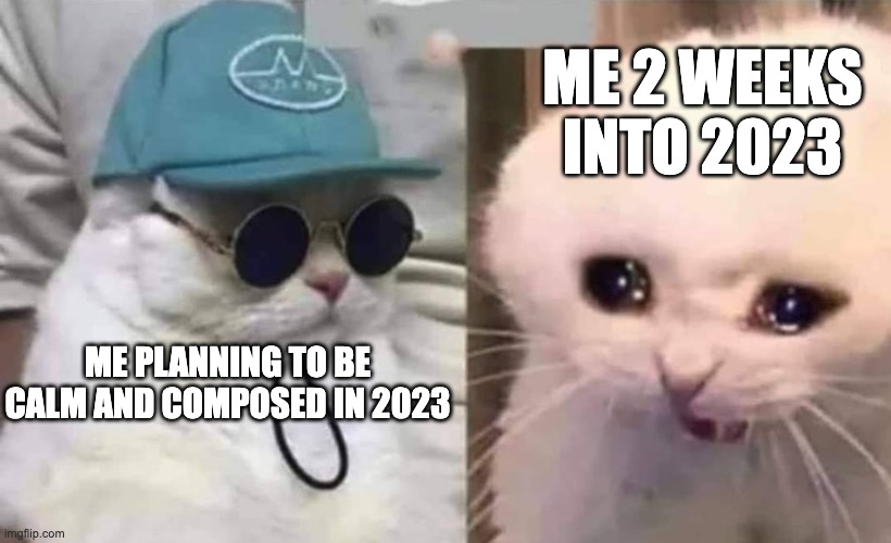 The struggle of 2023 | ME 2 WEEKS INTO 2023; ME PLANNING TO BE CALM AND COMPOSED IN 2023 | image tagged in funny,cats,meme,2023,lol,lolz | made w/ Imgflip meme maker