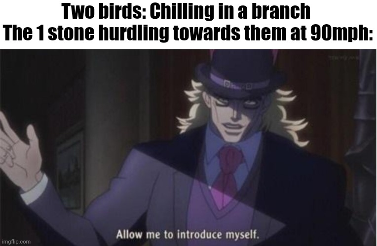Killing two birds with 1 stone | Two birds: Chilling in a branch 
The 1 stone hurdling towards them at 90mph: | image tagged in allow me to introduce myself jojo | made w/ Imgflip meme maker