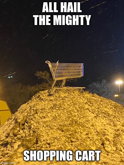 hail the mighty shopingkart | ALL HAIL THE MIGHTY; SHOPPING CART | image tagged in shoppin cart | made w/ Imgflip meme maker