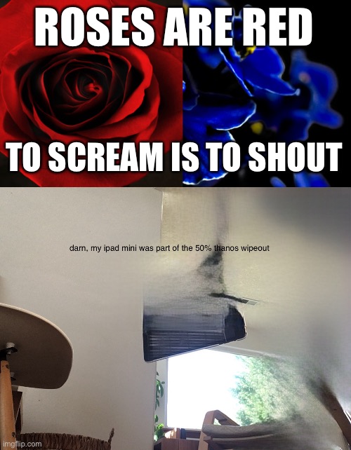 NOOO MY IPAD MINI | ROSES ARE RED; TO SCREAM IS TO SHOUT | image tagged in roses are red violets are blue,if you are reading this i will kill you,oh wow are you actually reading these tags | made w/ Imgflip meme maker