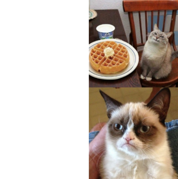 Sad Cat Meme Generator - Piñata Farms - The best meme generator and meme  maker for video & image memes