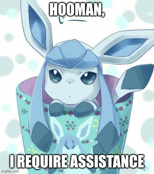 HOOMAN, I REQUIRE ASSISTANCE | made w/ Imgflip meme maker