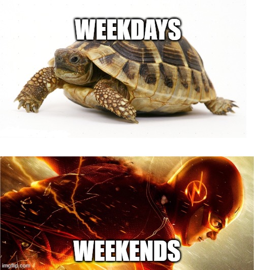 Slow vs Fast Meme | WEEKDAYS; WEEKENDS | image tagged in slow vs fast meme,memes,funny,weekend,weekdays | made w/ Imgflip meme maker
