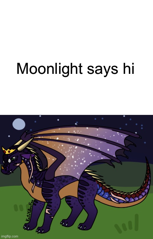 Moonlight says hi | made w/ Imgflip meme maker