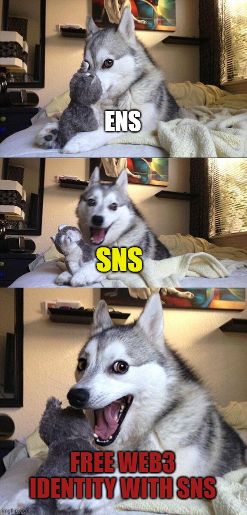 SNS free WEB 3 Identity | ENS; SNS; FREE WEB3 IDENTITY WITH SNS | image tagged in memes,bad pun dog | made w/ Imgflip meme maker