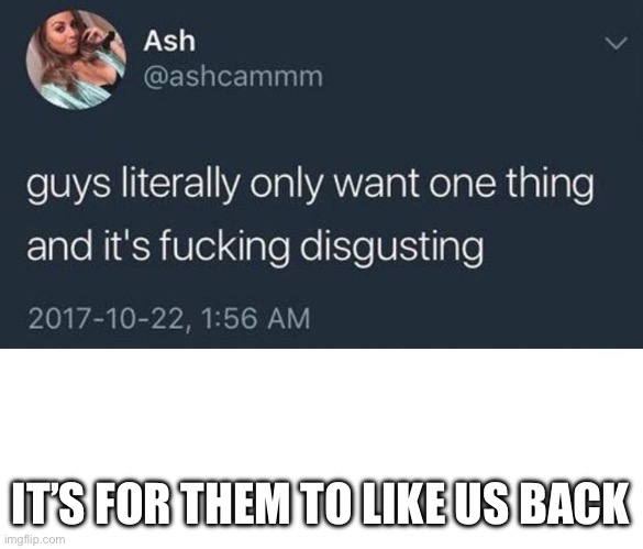 guys only want one thing | IT’S FOR THEM TO LIKE US BACK | image tagged in guys only want one thing | made w/ Imgflip meme maker